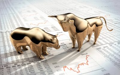 bears bulls